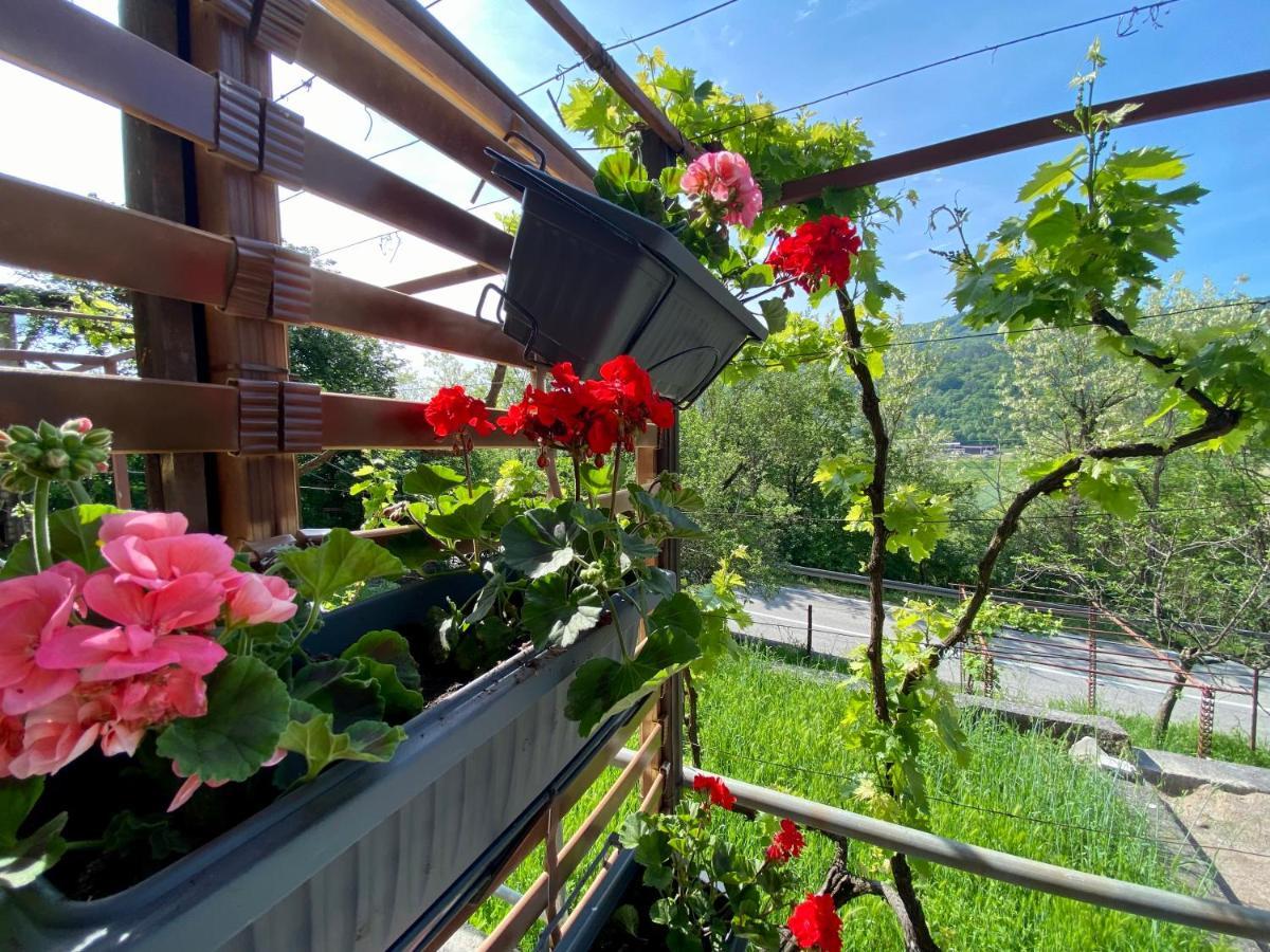 Apartman Verona 布泽特 外观 照片
